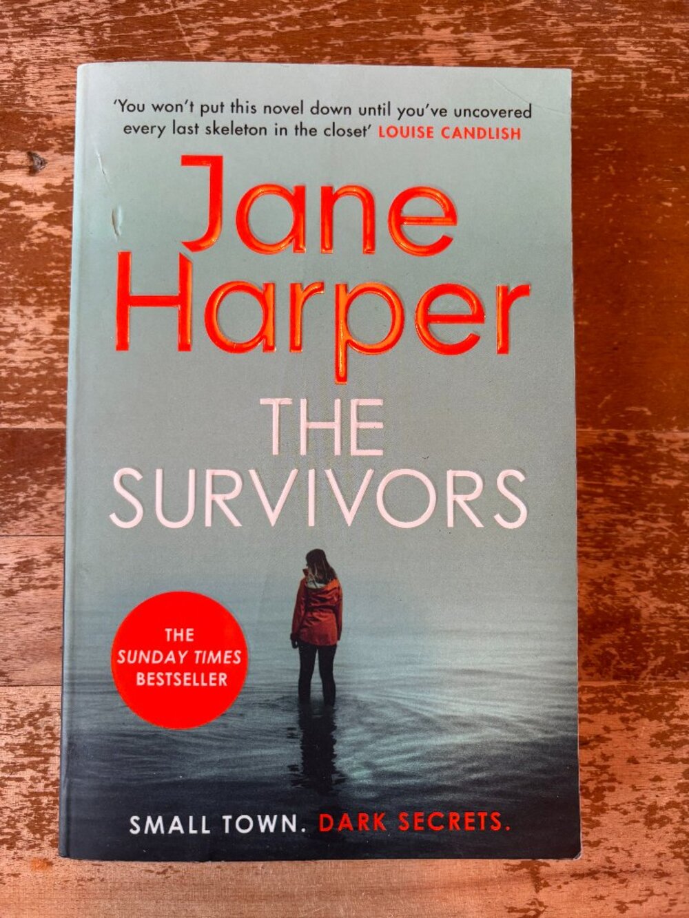 The Survivors, book by Jane Harper